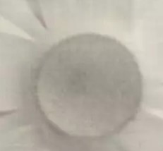 ԵƷ